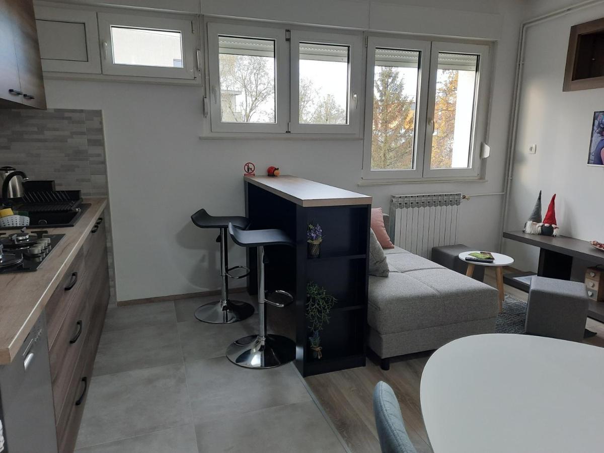 Apartman Ines Velika Gorica Exteriér fotografie